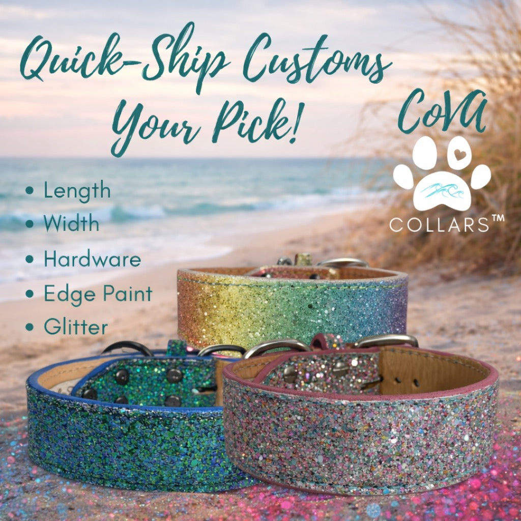 Special Custom!! Chunky Glitter Leather Rainbow Pride Bling Dog Cat Collar CoVA