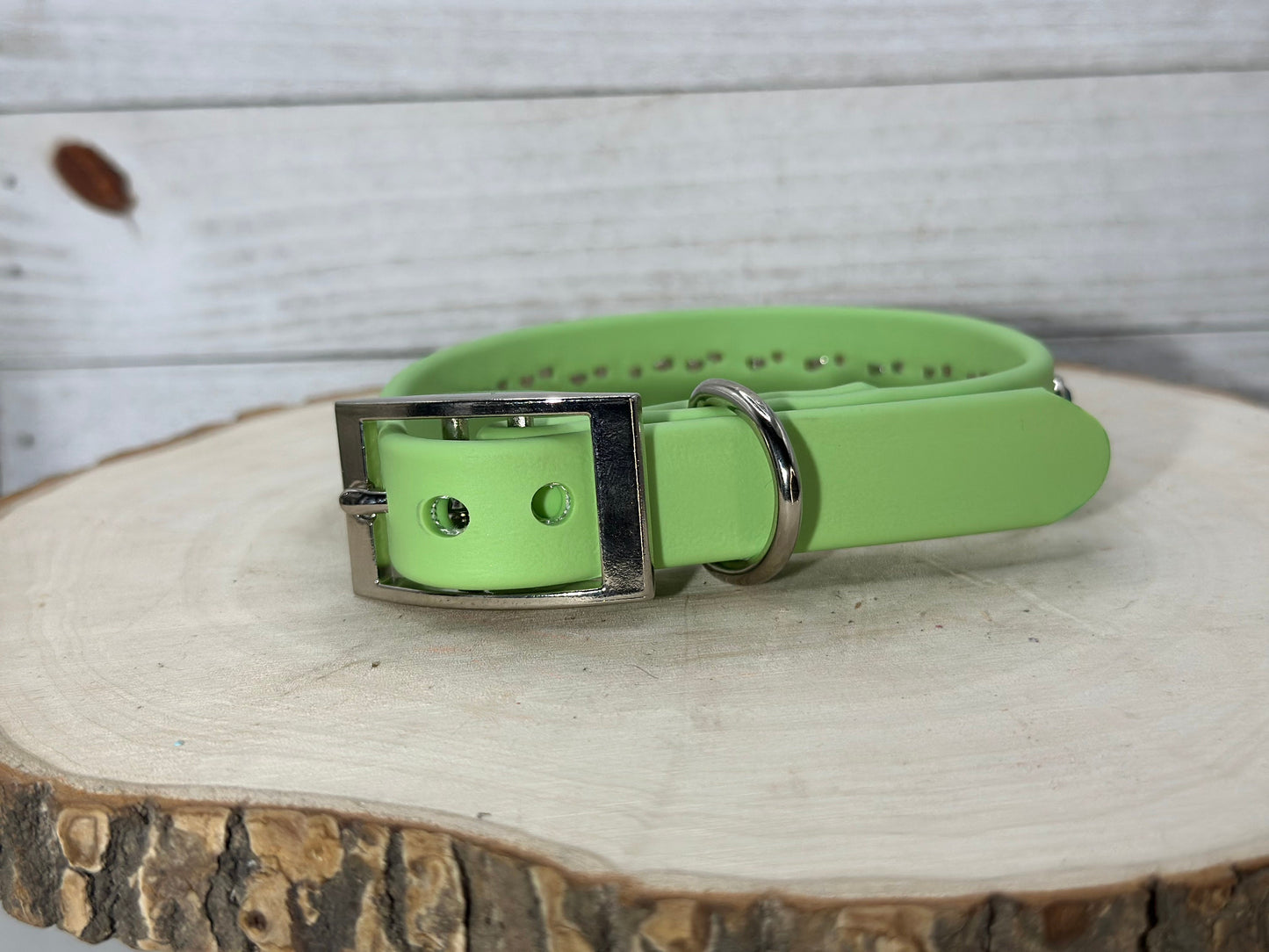 READY TO SHIP! 10.5" - 12.5" & .75" Wide Pastel Green (Discontinued) Crystals Luxury Vegan Leather Dog Collar
