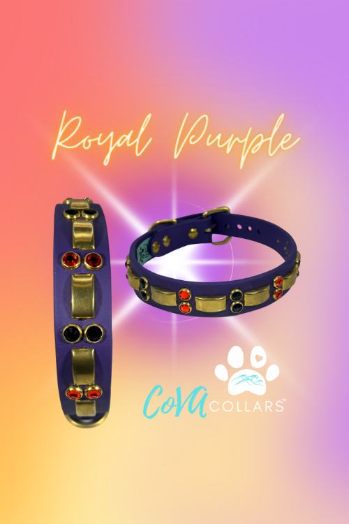 14” - 16” & 1" W Purple Brass Orange Black Bling Crystals Luxury Vegan Biothane Leather Dog CoVA Collar