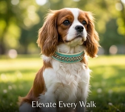 Luxury Dusty Turquoise BioThane Dog Collar | 2” Padded | Padparadscha & Crystal | Solid Brass Hardware | 18–20”