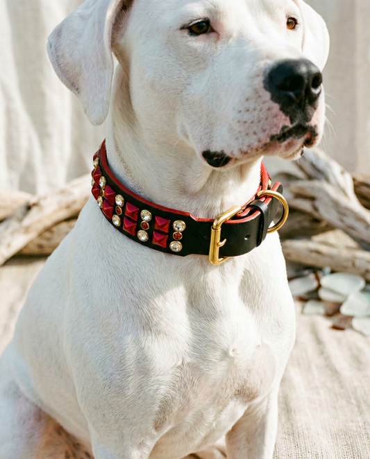 Ready2Ship!! 17"-19" 1.5" wide Bling Crystals Luxury Black Red Gold Studs Bridle Leather Dog Cat CoVA Collar