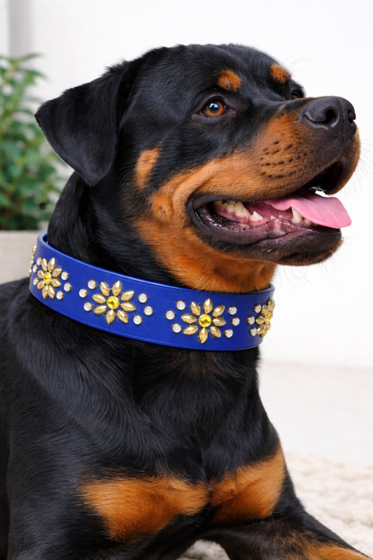 Royal Blue Luxury Dog Collar 17.5–19.5” | 1.5” Wide Waterproof Biothane | Solid Brass & Crystal Floral Studded