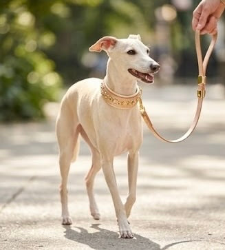 Luxury Rose Gold Leather Dog Collar | Solid Brass Hardware | Genuine Crystal & Crystal Aurum | 2” Wide Padded Statement Collar | 21–23”