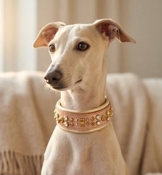 Luxury Rose Gold Leather Dog Collar | Solid Brass Hardware | Genuine Crystal & Crystal Aurum | 2” Wide Padded Statement Collar | 21–23”