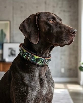 Green Snake Print Leather Dog Collar 18.5–19.5” | 2” Wide Luxury Collar with Black Hardware, Hexagon Studs & Peridot Aquamarine Red Velvet Crystals