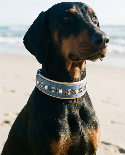 New Color Release - Petrol Blue READY TO SHIP! 17.5" - 19.5" & 2"W Gold Pearl Vegan Leather Biothane Crystal Luxury Dog Cat Collar