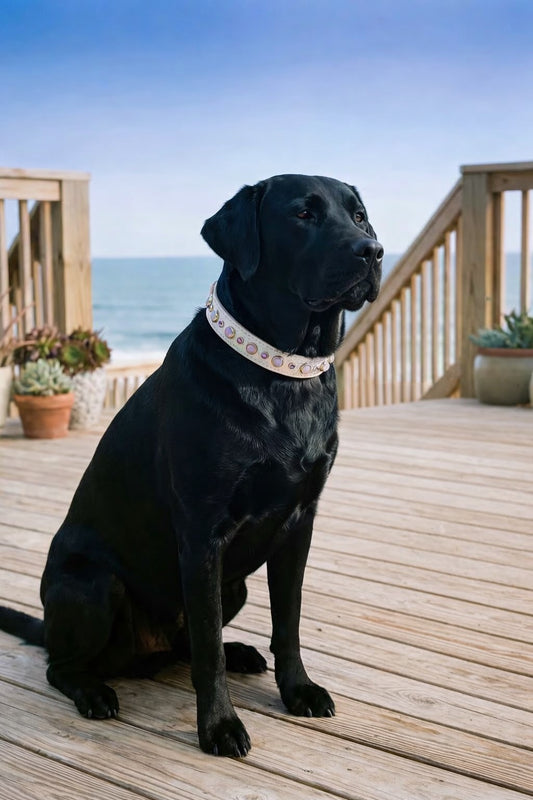 QUICK SHIP!!! PREMIUM Italian 18.25"-20.25" & 1" Wide Ultra Luxury Italian Dog Cat Leather Iridescent Dragon Opals Crystal CoVA Collar