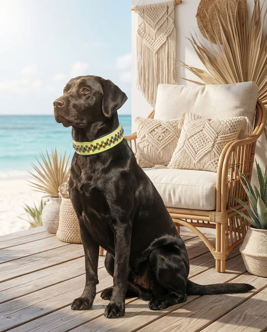 New Color Release - Pastel Yellow READY TO SHIP! 17" - 19" & 1.5 W" Vitrail Medium Red Vegan Leather Biothane Crystal Luxury Dog Cat Collar