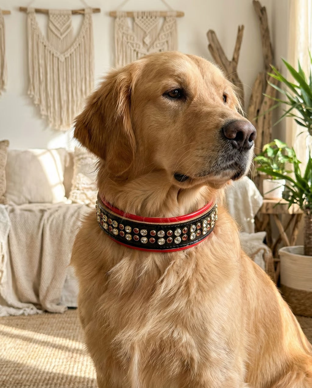 READY to SHIP!!! PREMIUM Italian 19"-21" & 2" Wide Luxury Patent Dog Cat Leather Red Black Gold Black Crystal CoVA Collar