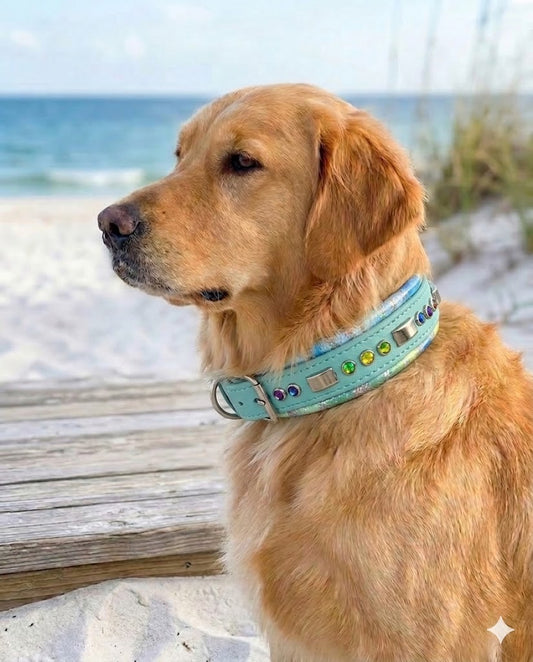 16-18" 1.5" Wide Luxury Biothane Waterproof Turquoise Blue Watercolor Dog Collar