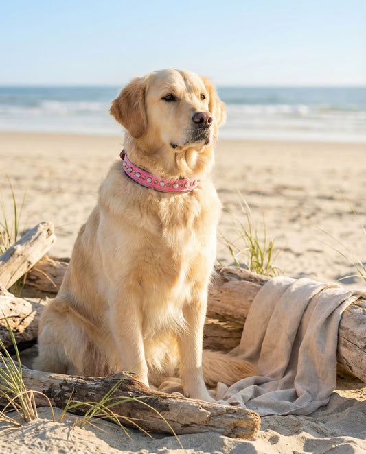 READY to SHIP!!! PREMIUM Italian 17.5"-19.5" & 1.5" Wide Ultra Luxury Italian Dog Cat Leather Pink Grey Opals Crystal CoVA Collar