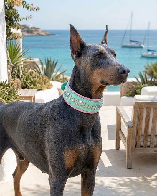 READY TO SHIP!!! 16" - 18" 2"W Seafoam Mint Pink Bling Crystals Luxury Vegan Biothane Leather Dog Collar