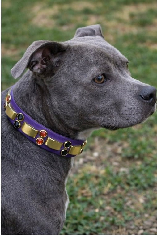 14” - 16” & 1" W Purple Brass Orange Black Bling Crystals Luxury Vegan Biothane Leather Dog CoVA Collar