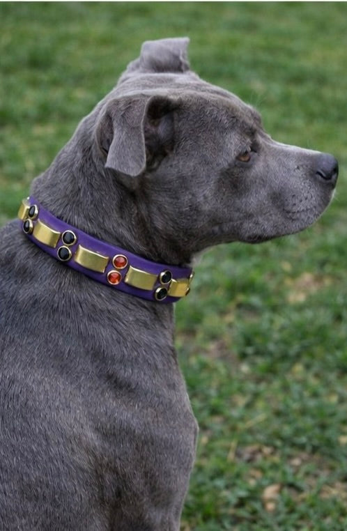 14” - 16” & 1" W Purple Brass Orange Black Bling Crystals Luxury Vegan Biothane Leather Dog CoVA Collar