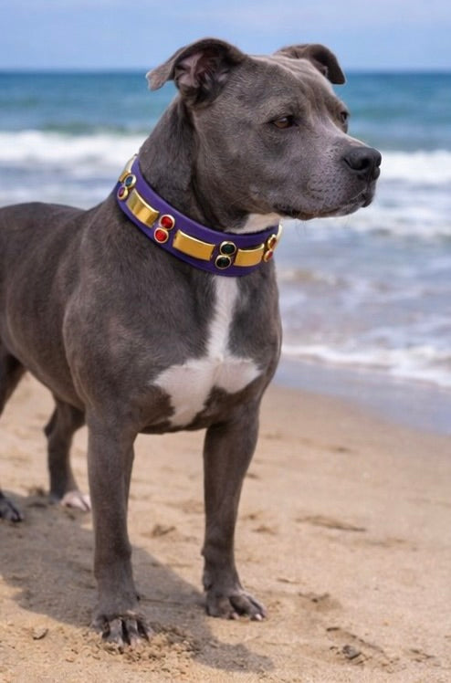 14” - 16” & 1" W Purple Brass Orange Black Bling Crystals Luxury Vegan Biothane Leather Dog CoVA Collar