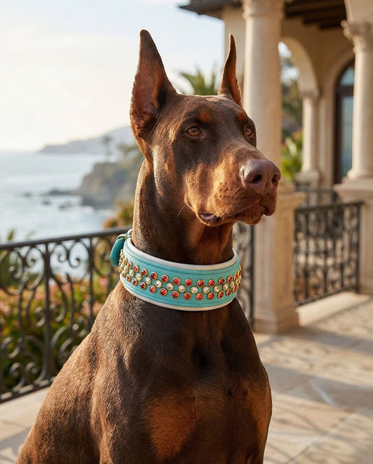 Luxury Dusty Turquoise BioThane Dog Collar | 2” Padded | Padparadscha & Crystal | Solid Brass Hardware | 18–20”