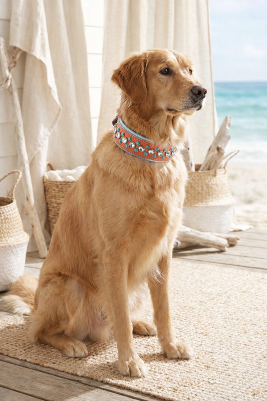 Ready2Ship!! 15.5" - 17.5" & 2" Wide Bling Crystals Luxury Coral Turquoise Leather Dog Cat CoVA Collar