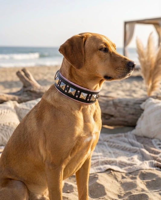 Luxury Leather Dog Collar | Premium Pink Black Silver Crystal Italian | 15"-17" & 2.5 Wide