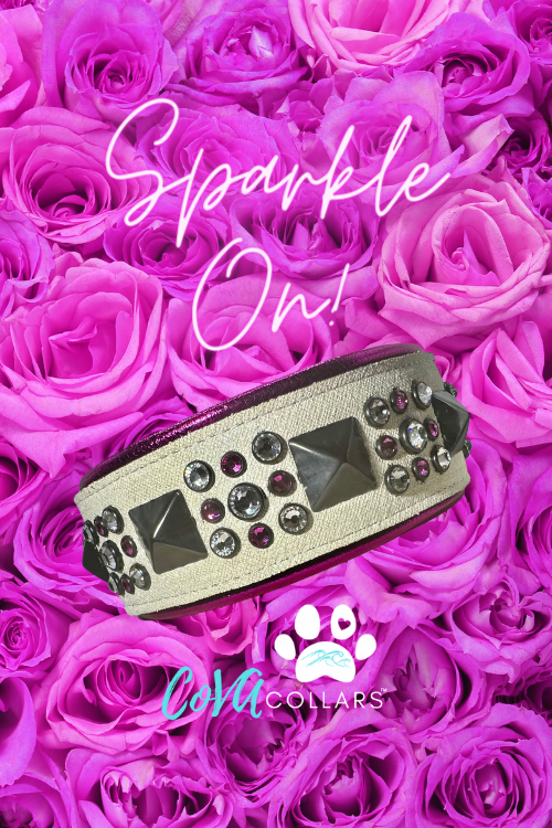 QUICK SHIP!!! 18-20" & 2.5 Wide Barbie Pink White Black Luxury Dog Cat Leather Crystal CoVA Collar