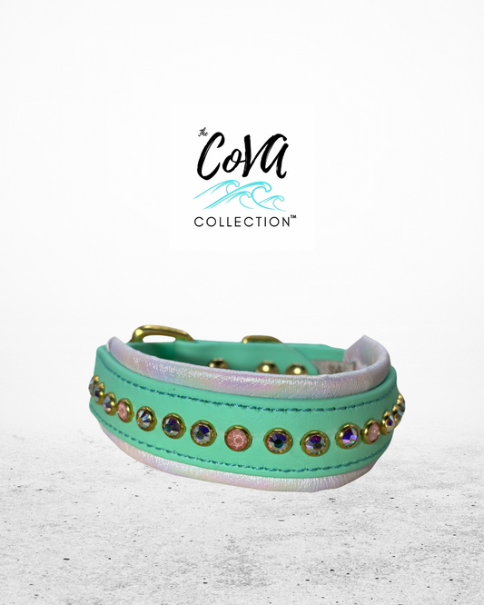 READY TO SHIP!!! 13" - 15" & 1.5" W Mint Pastel Green Seafoam Biothane Crystal Luxury Dog Cat CoVA Collar