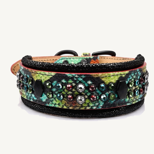 Green Snake Print Leather Dog Collar 18.5–19.5” | 2” Wide Luxury Collar with Black Hardware, Hexagon Studs & Peridot Aquamarine Red Velvet Crystals on ivory background