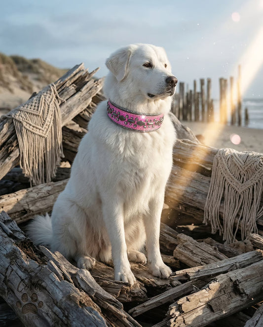 QUICK SHIP!!! 16-18" & 2" Wide Barbie Pink Glitter Black Sparkle Luxury Dog Cat Leather Crystal CoVA Collar