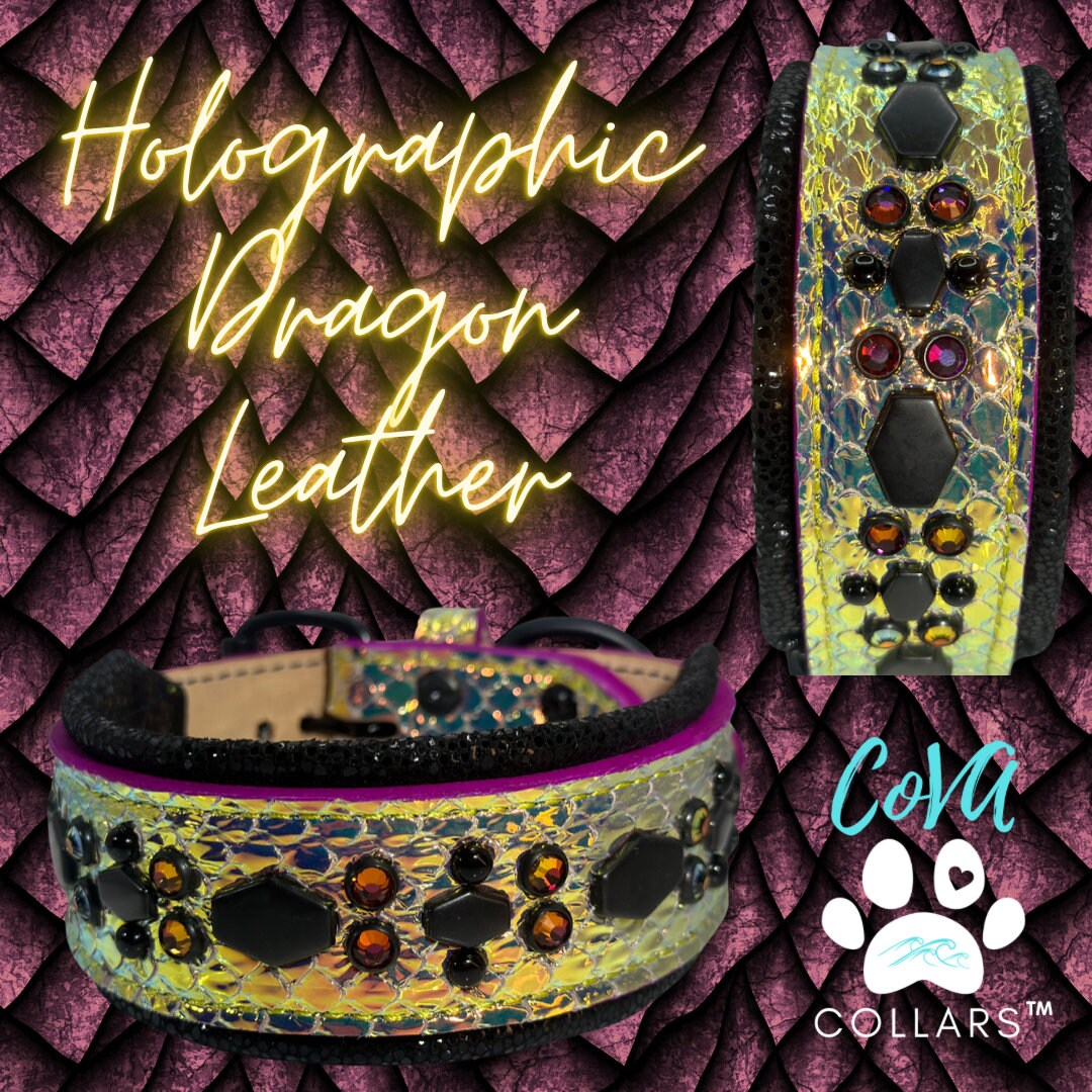 READY TO SHIP! 15" - 17" Holographic Color Change Volcano Purple Black Gold Dragon Crystals Luxury Leather Dog CoVA Collar