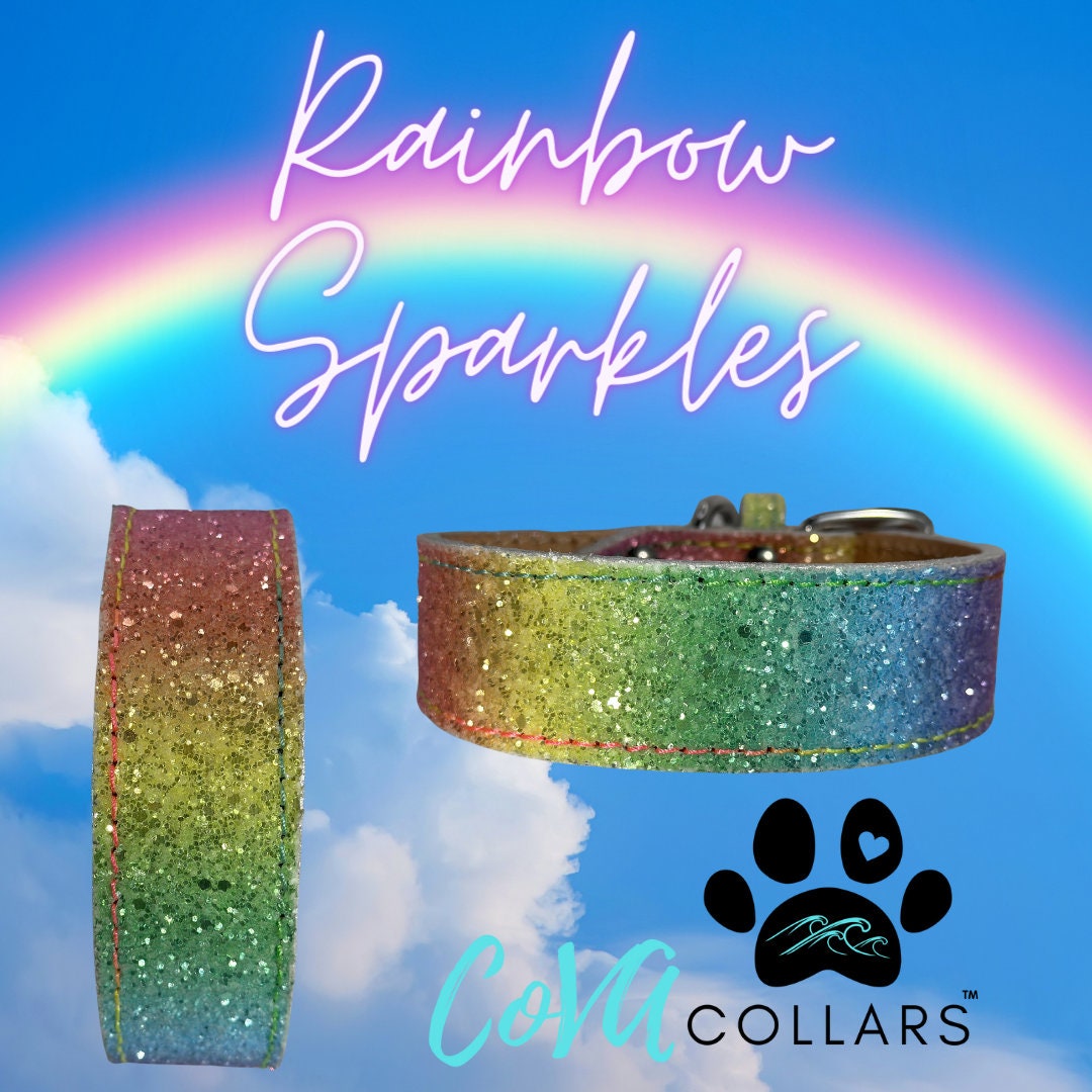 Special Custom!! Chunky Glitter Leather Rainbow Pride Bling Dog Cat Collar CoVA